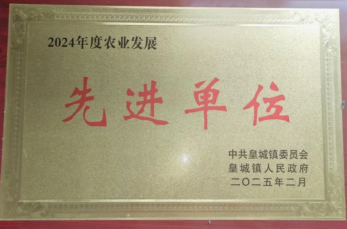 guanyuwm (6)